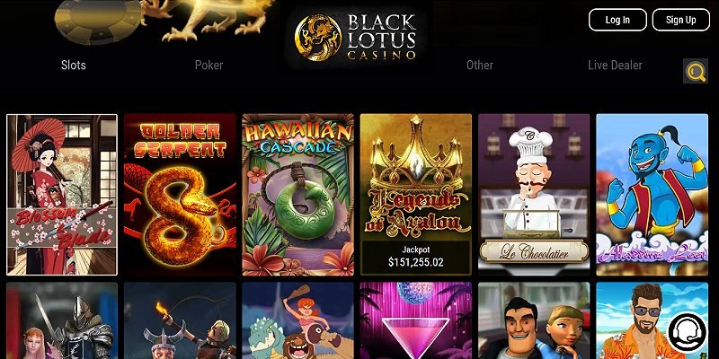 Black Lotus - a New York online casino we tested